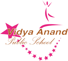 Vidya Anand Public School