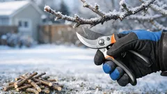 10 plants you can prune in December for healthier growth in spring