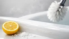 How to remove toilet bowl limescale with lemon and salt